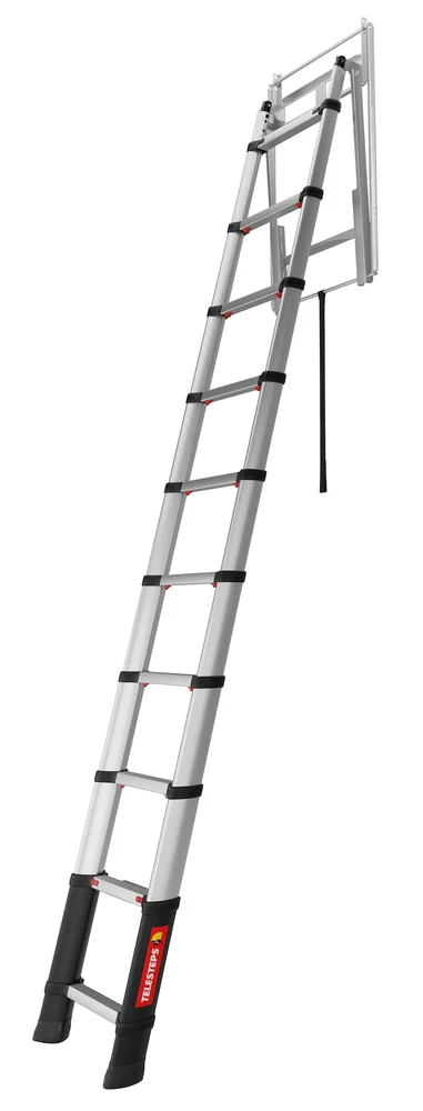 TELESTEPS Language missing v:8990348