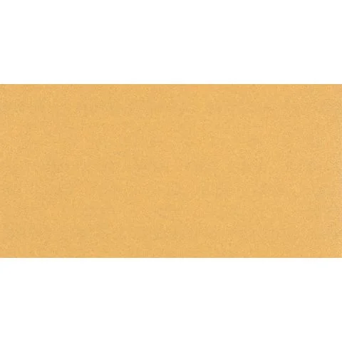 Expert C470 Bosch Slipepapir 3102547