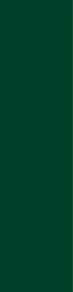 Fibo baderomsplate Bottle Green Høytrykkslaminat 10x620x2400 mm v:3078515 Fibo baderomsplate Bottle Green Høytrykkslaminat 10x620x2400 mm v:3078515