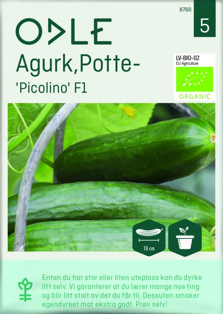Odle 'Picolino' F1 potteagurk frø v:2757903 Odle 'Picolino' F1 potteagurk frø v:2757903