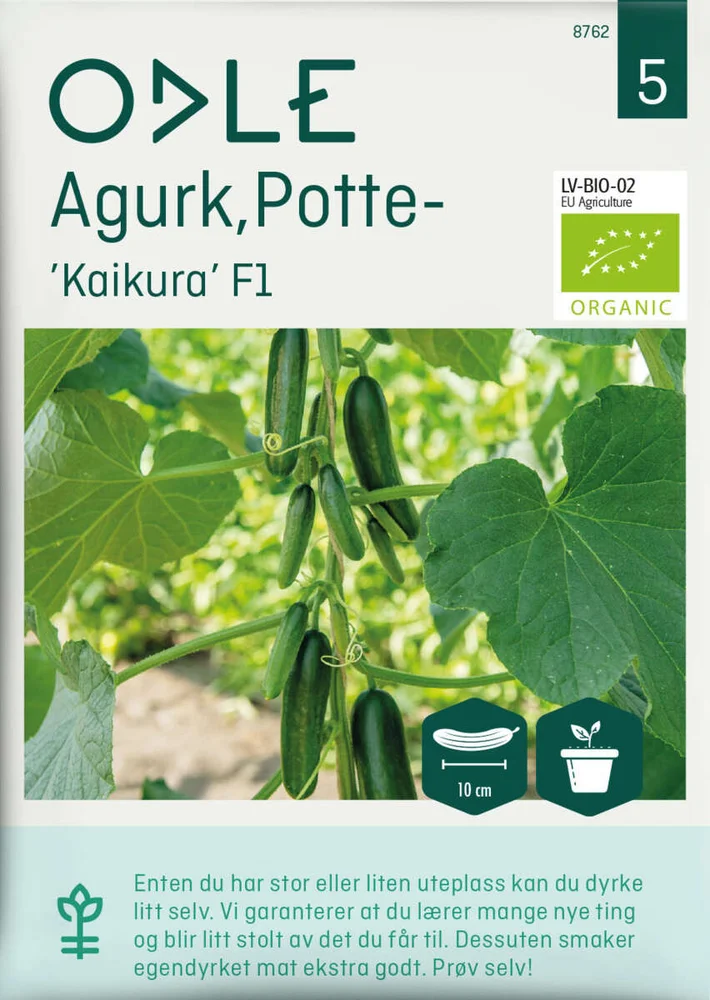 Odle agurk, potte-, kaikura F1 frø v:7507138 Odle agurk, potte-, kaikura F1 frø v:7507138