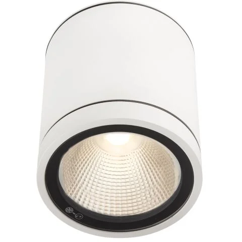 Milo XL Down Hide-a-Lite Downlight 3022212