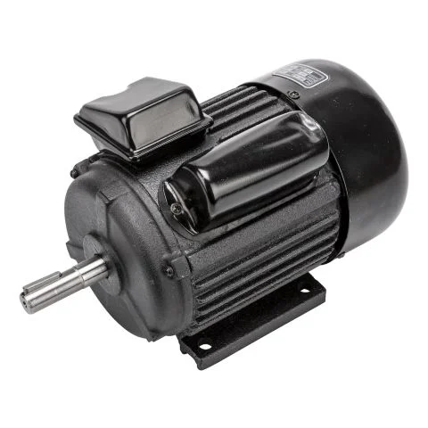489575 PELA Motor 3116330