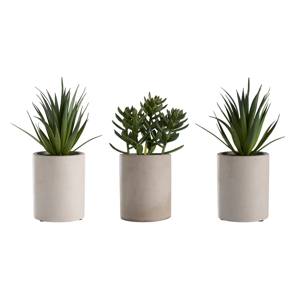 DAY KUNSTIG PLANTE 7,5X7,5X18CM ASSORTERT v:7503102