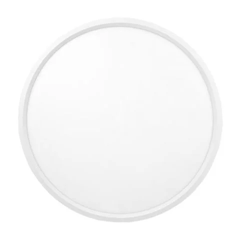 RING 20/400 DALI Aneta Lighting Plafond 4044165