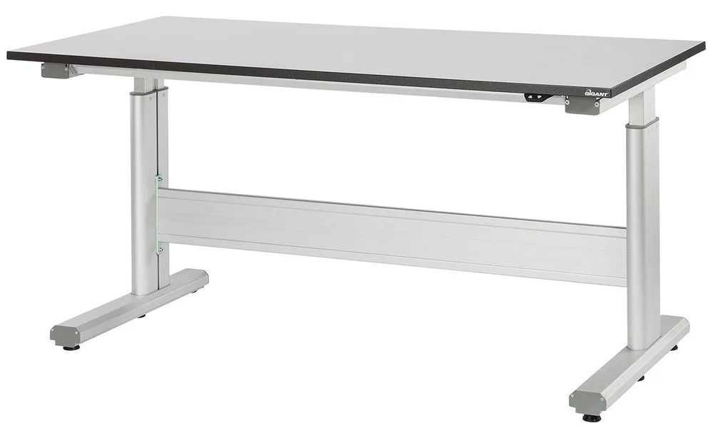 GIGANT BORD FLEX 250 LAM. L 1200X800 v:7814161